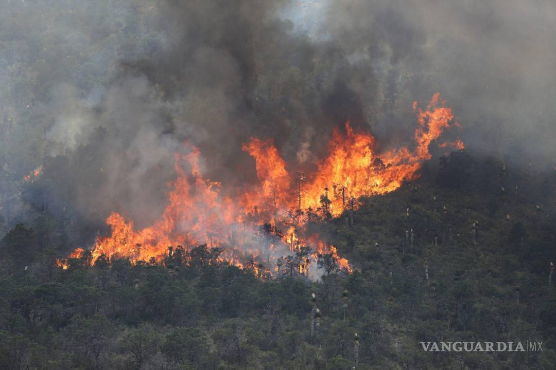$!Saltillo, Coahuila 20 de mayo de 2022. El incendio registrado en La Carbonera sigue sin controlarse.
