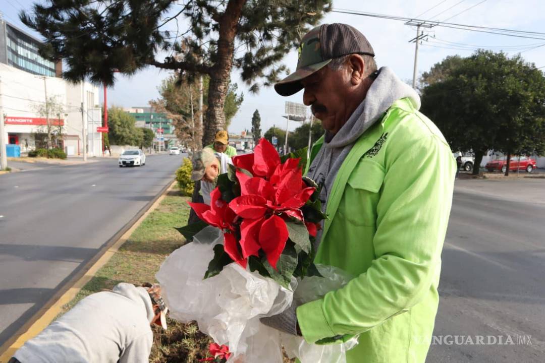 $!El Vivero Municipal inició con la siembra de Nochebuenas para fomentar el espíritu navideño.