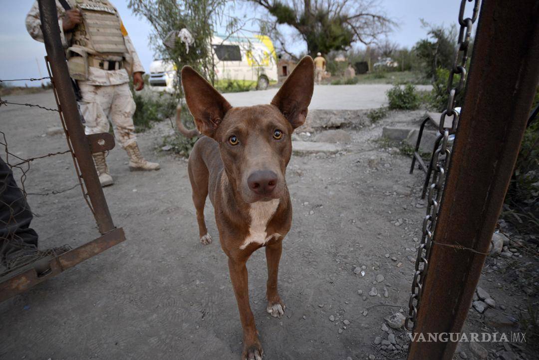 $!Capítulo 2 ¿Tragedia que se hereda?