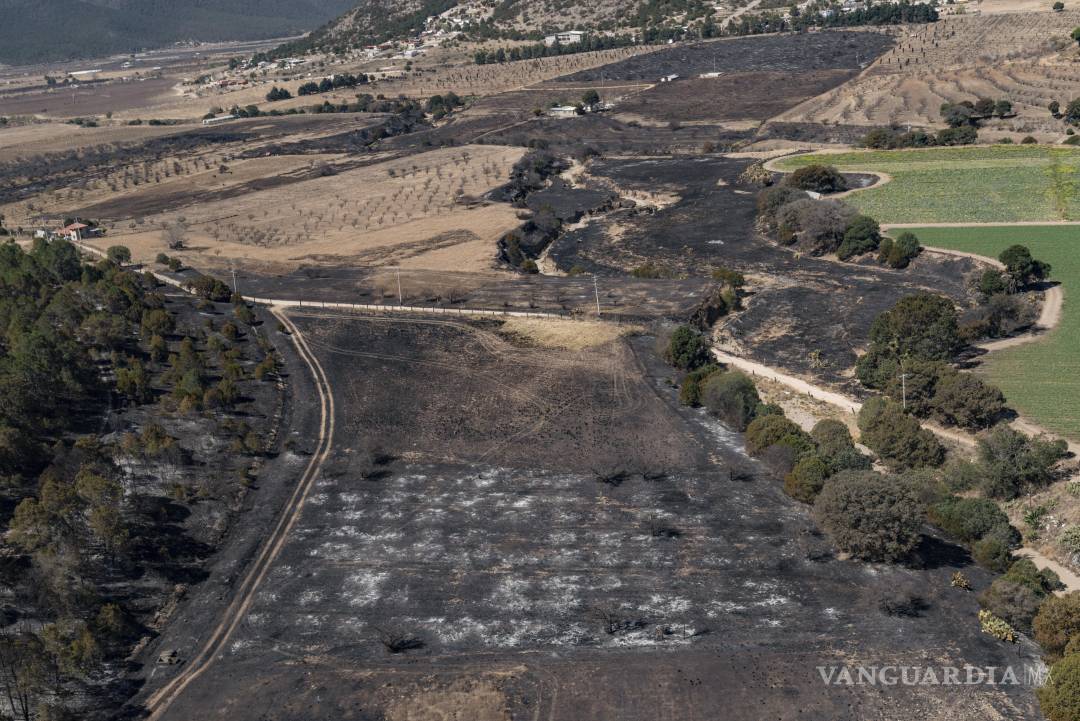 $!Contienen al 90% incendio en El Tunal, Arteaga; liquidan 85% del fuego
