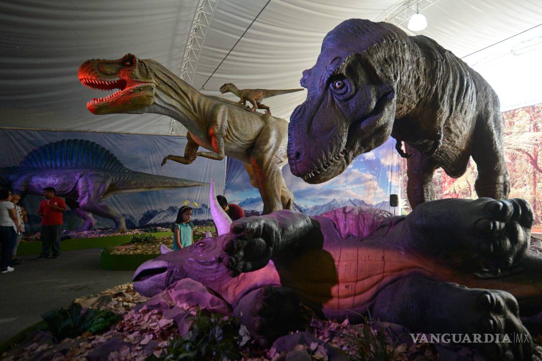 $!Estos son los apodos de Saltillo ¿Cómo le dices?