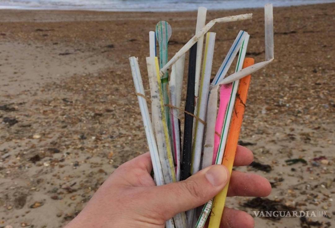 $!Usar bolsas de plástico y popotes está prohibido en estos estados de México