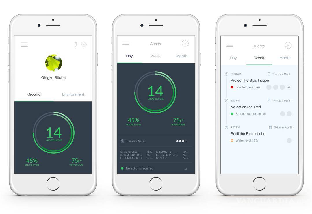$!Bios Incube, cenizas que dan vida