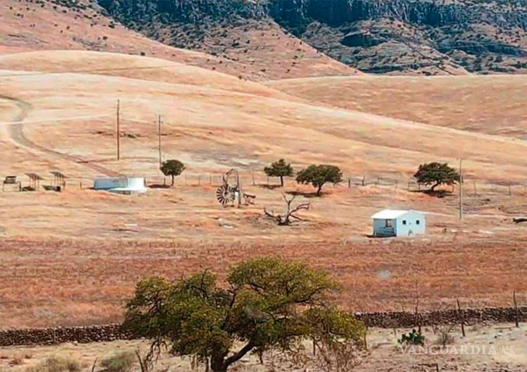 $!Encuentran llamas, bisontes y jabalíes en ranchos incautados a César Duarte