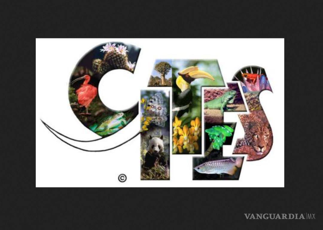 $!Decisiones de vida o muerte en la cumbre de protección de especies