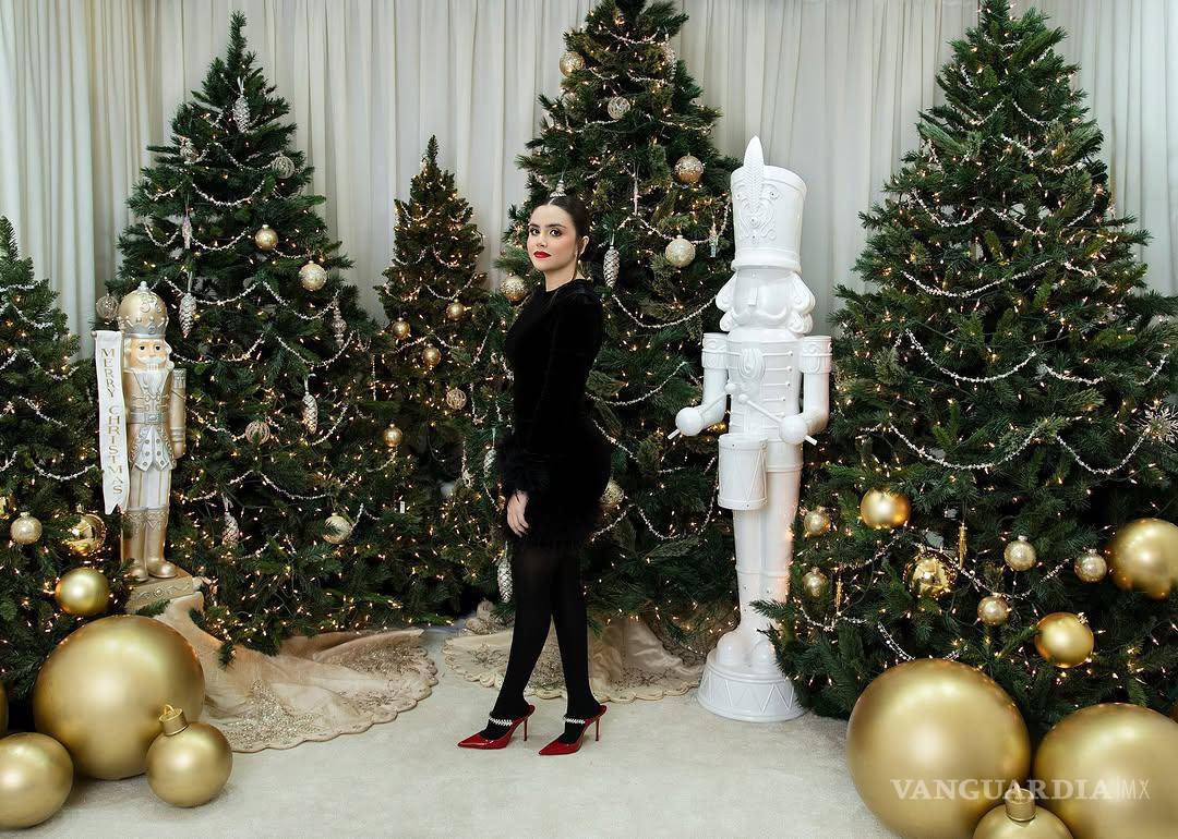 $!Markitos Toys: ¿Quiénes son los cuatro hermanos Castro Cárdenas relacionado con ‘Los Sapitos’ y ‘Los Chapitos’?