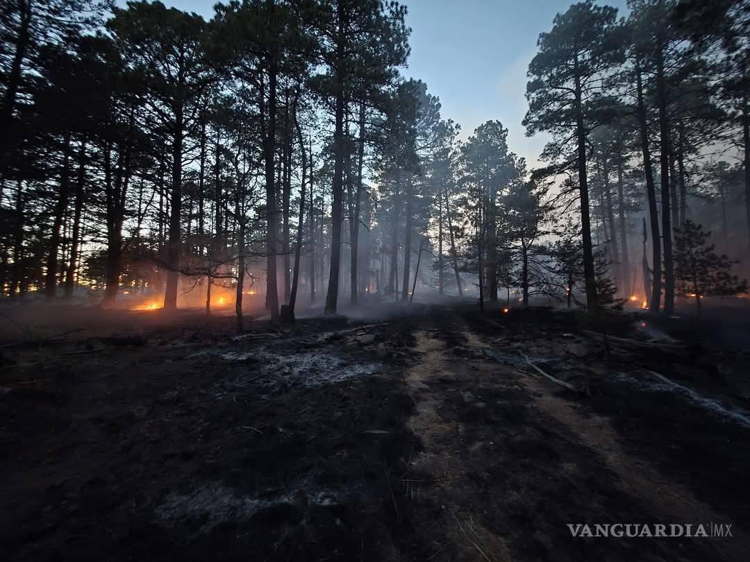 $!Aunque la nevada brindó un respiro momentáneo, las autoridades recalcaron que no es momento de bajar la guardia.