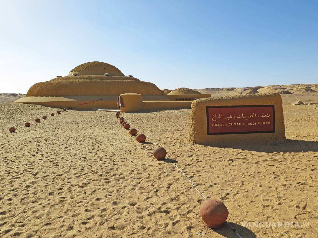 $!Wadi al Hitan, el desierto donde nadaron las ballenas