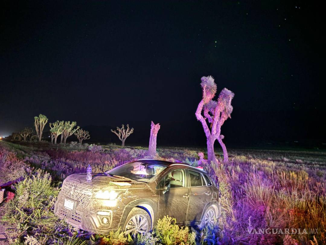 $!Trabajadores de la gasolinera fueron los primeros en atender a los involucrados y solicitar ayuda al 911.