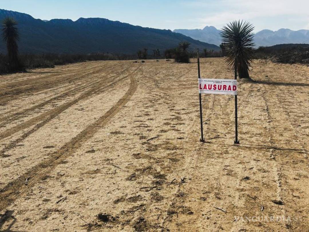 $!La superficie afectada por las actividades no autorizadas es de aproximadamente 125 mil metros cuadrados.