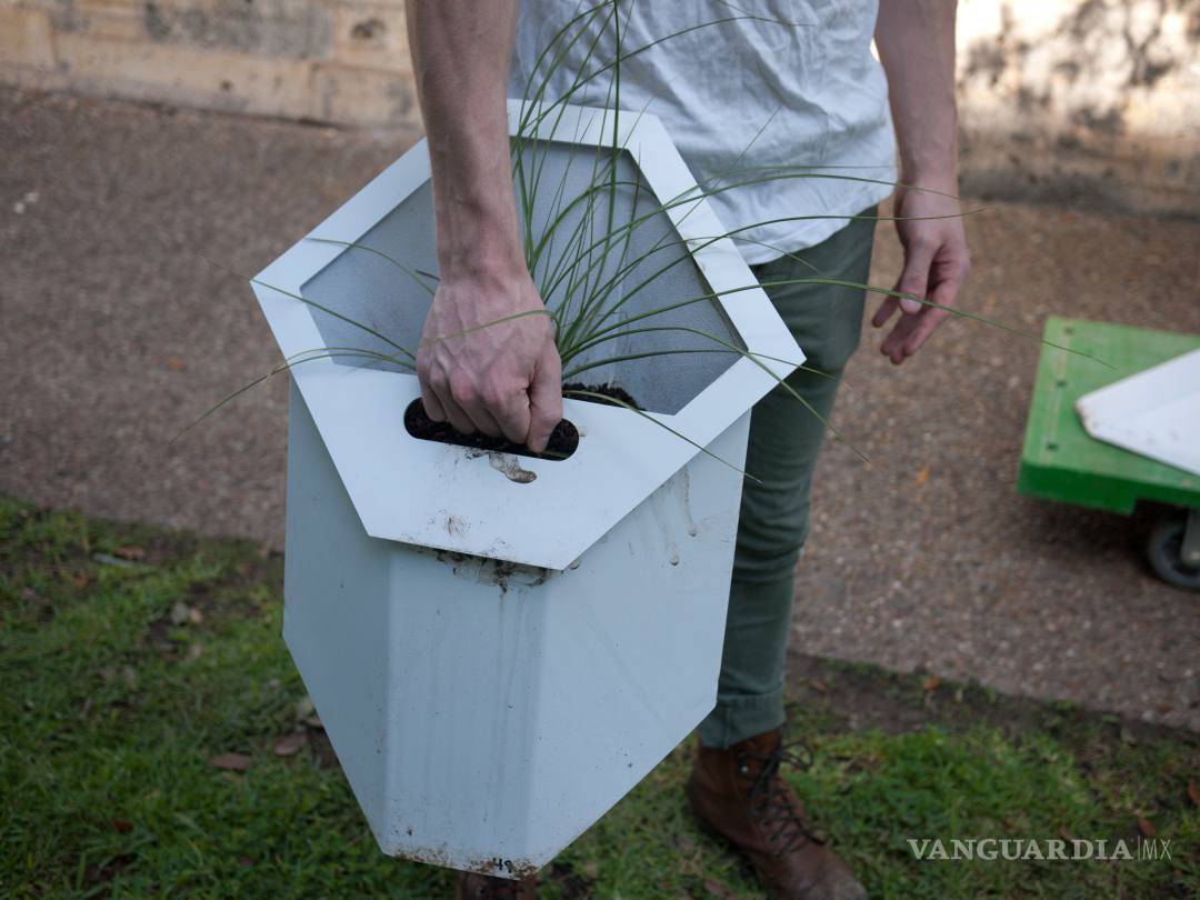 $!Pon a tu casa una piel verde