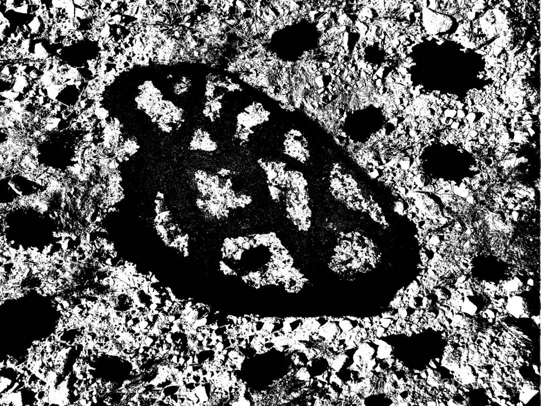 $!‘Panoramas’, una evolución desértica