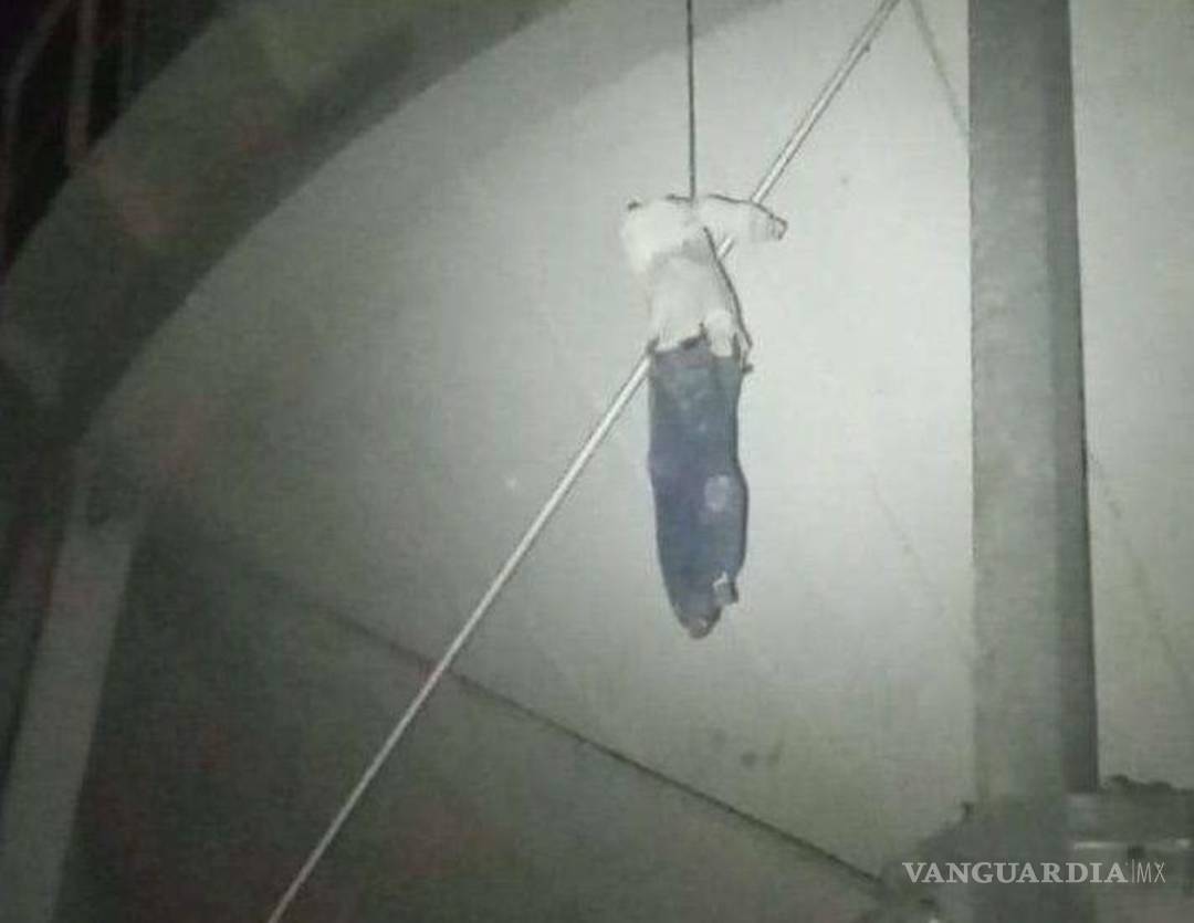 $!El maniquí colgado del tanque de agua causó pánico en la colonia Hidalgo de Nueva Rosita.