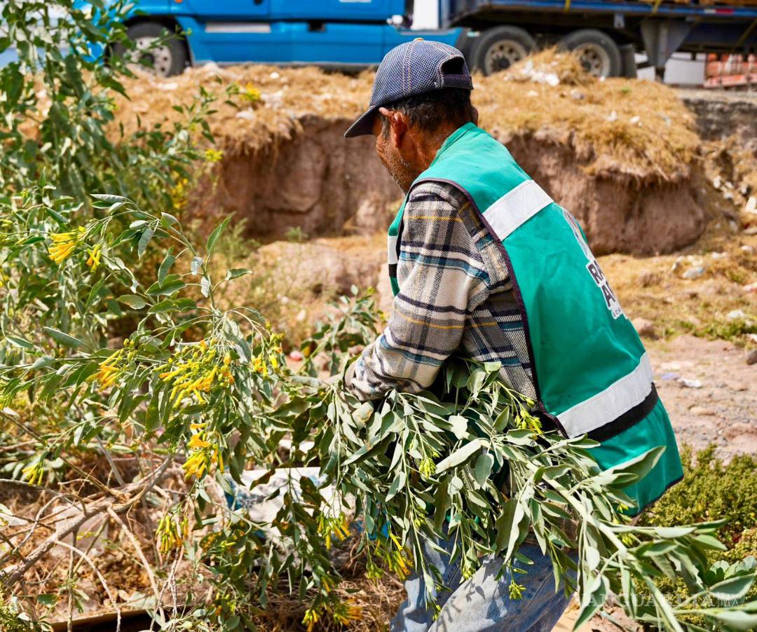 $!Brigadas municipales realizaron limpieza y mantenimiento en plazas de Ramos Arizpe.