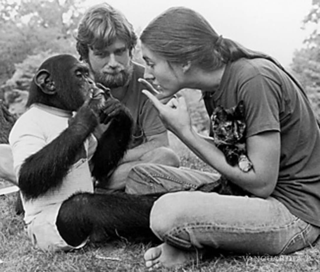 $!Estos son los animales que han contribuido en la historia de la ciencia