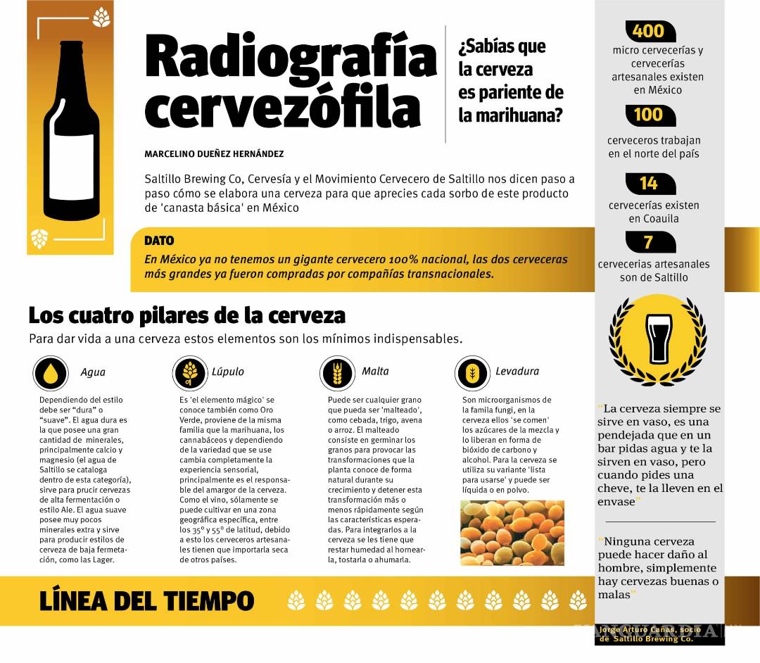 $!Radiografía cervezófila