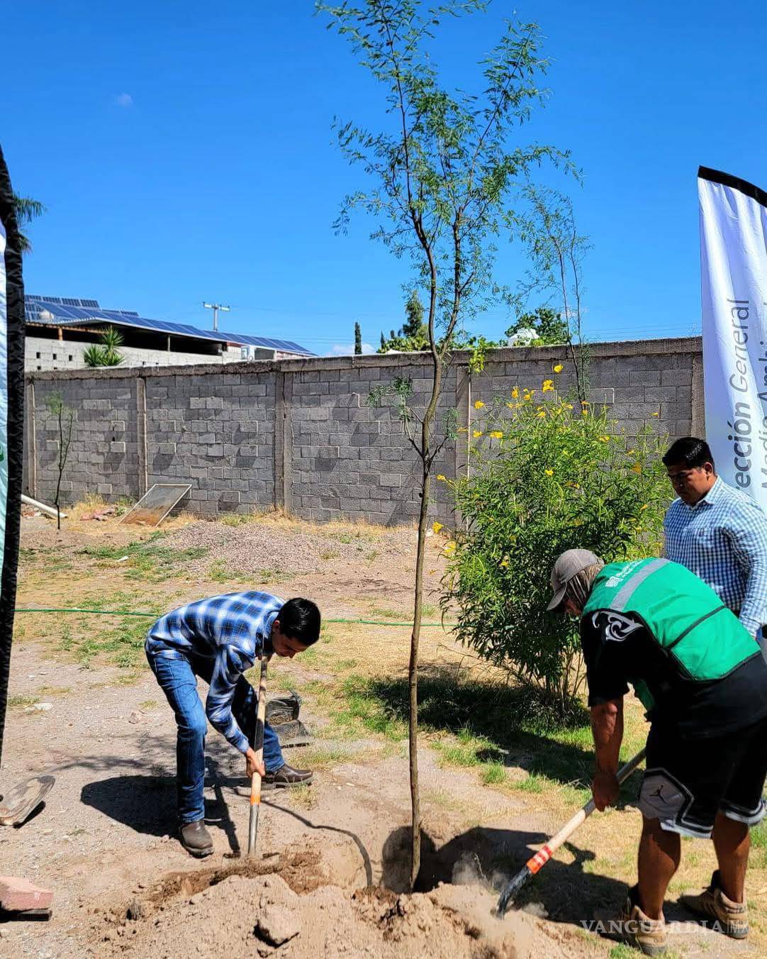 $!Jóvenes y voluntarios colaboran en la siembra de nuevos árboles urbanos.
