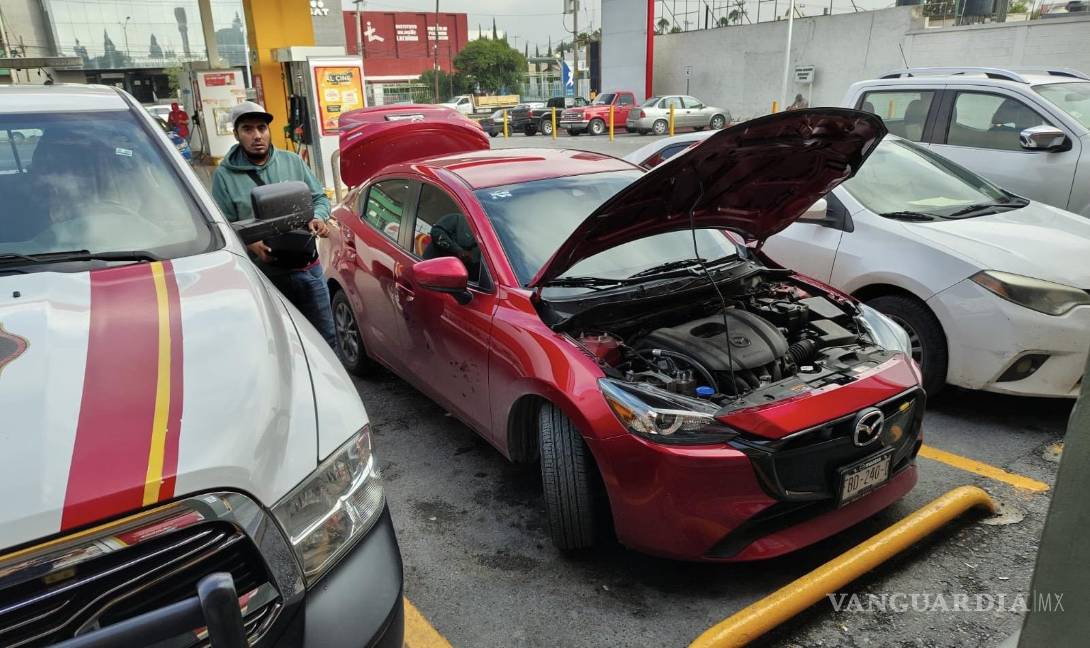 Saltillo: Rescatan a gato atrapado en motor de un auto; conductor lo adopta tras el susto