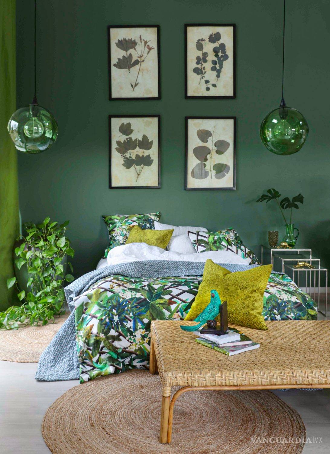 $!¡Adiós al calor! Refresca tu casa con ayuda del verde