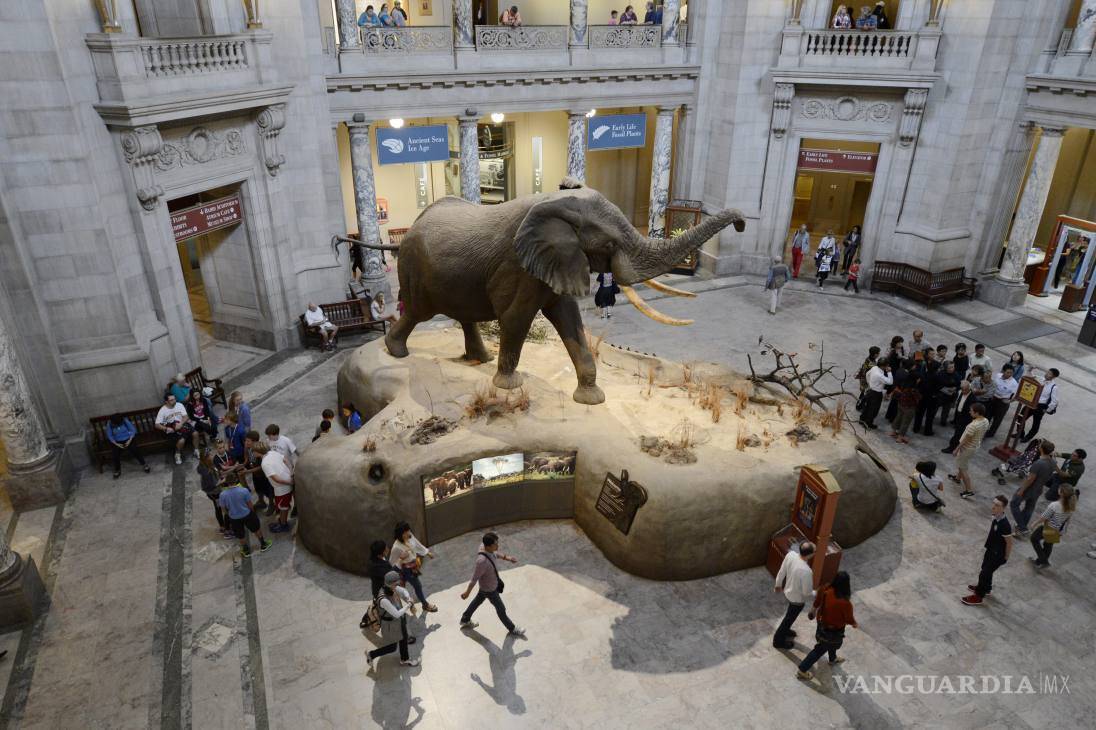 $!Estos son los diez museos más visitados del mundo