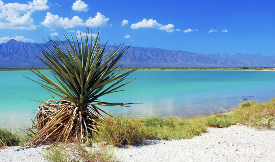 $!Cuatro Ciénegas, es un valle desértico alberga un ecosistema único con pozas de agua cristalina que contrastan con el entorno árido.