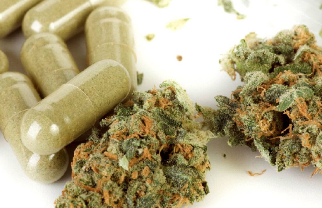 $!Fallo histórico en México, se legaliza la 'mota' con fines recreativos