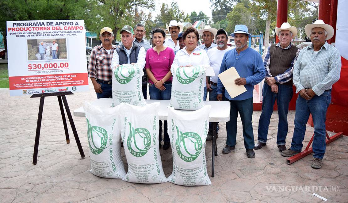 $!Entregan semilla de avena a productores del municipio de Nava