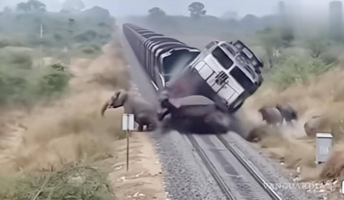 $!AMLO, José Ramón, Andrés Manuel, Gonzalo Alfonso y a un lado de la vía, el más pequeñín, Jesús Ernesto.