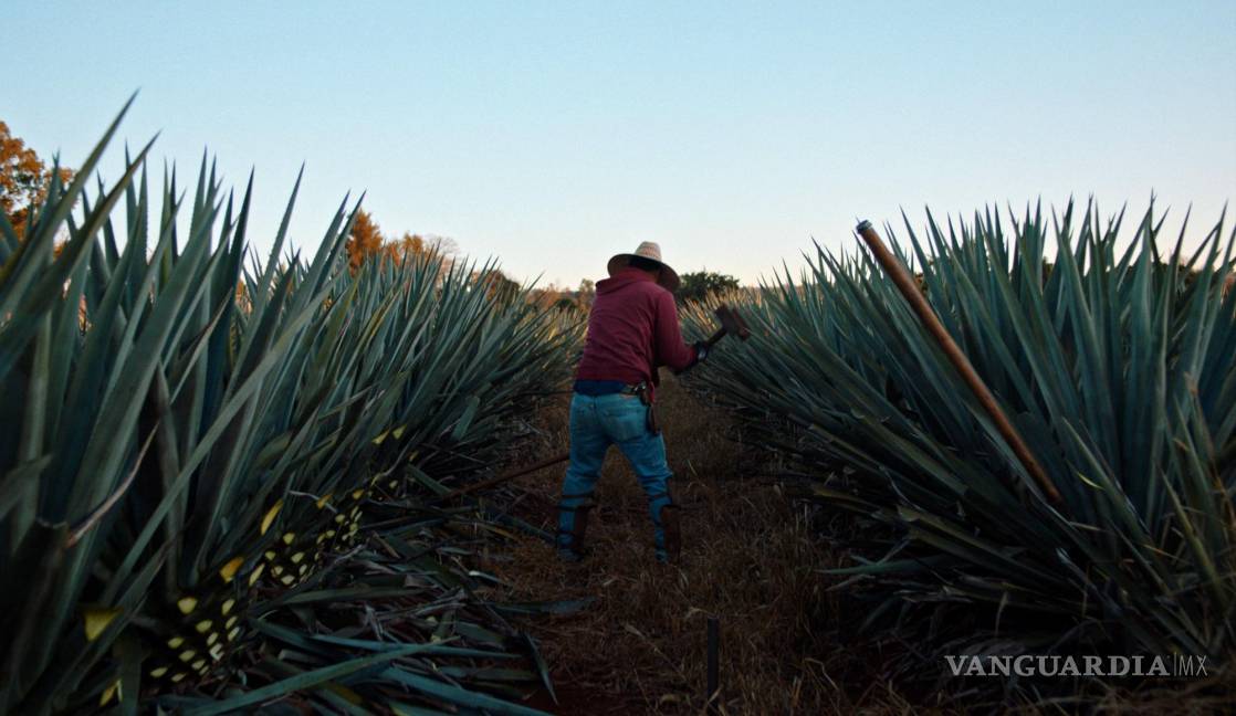 $!Escena de la película Dos estaciones del director mexicano Juan Pablo González, que proyecta esta semana en el Festival de Sundance. EFE/Brigade Publicity