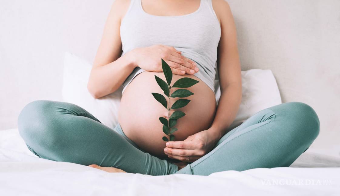 $!Mujer gestante sujeta un brote vegetal (símbolo de fertilidad) junto a su vientre.