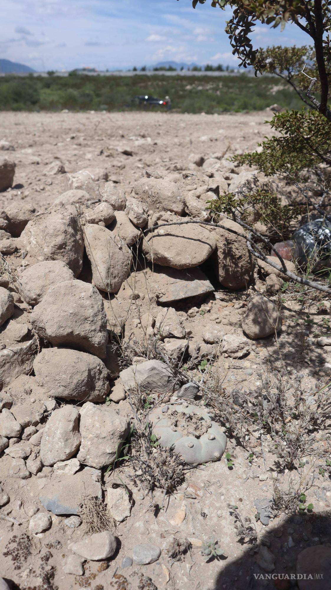 $!Trazos de caminos en zona de plantas vulnerables en el poniente de Arteaga.
