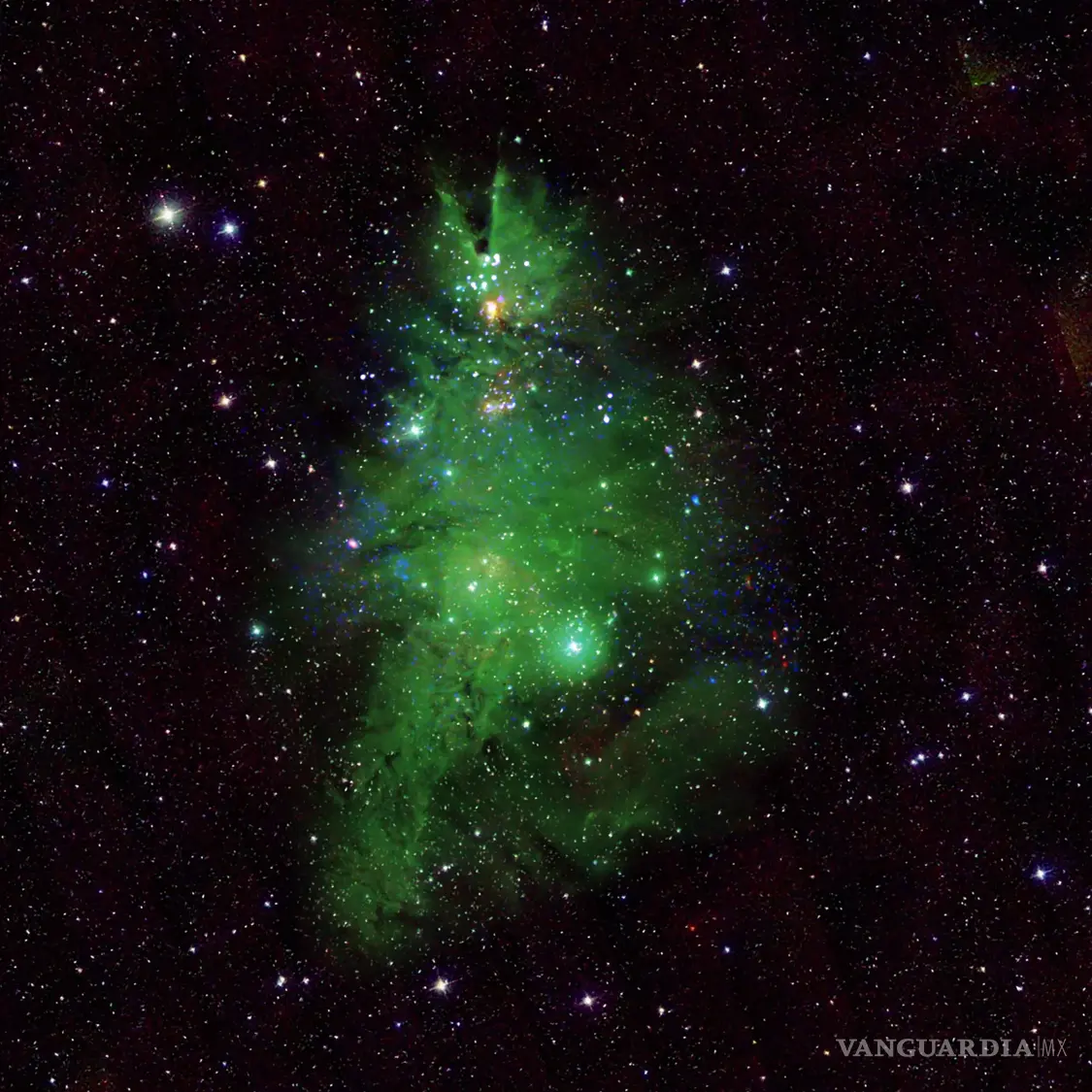 $!Astrónomos rotaron la imagen unos 160 grados para encontrar la forma del árbol.