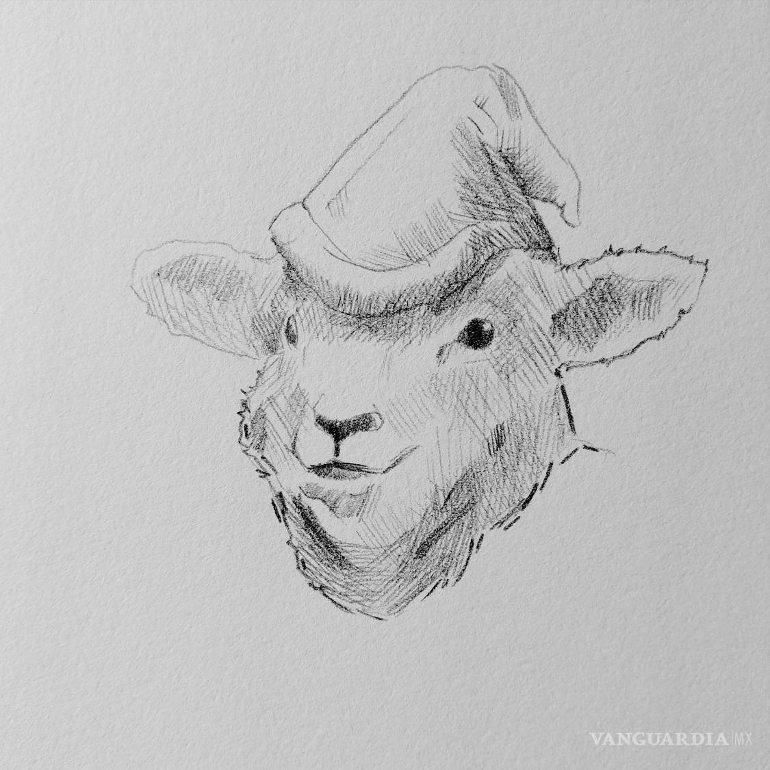 $!Rafael Ortega, artista visual.