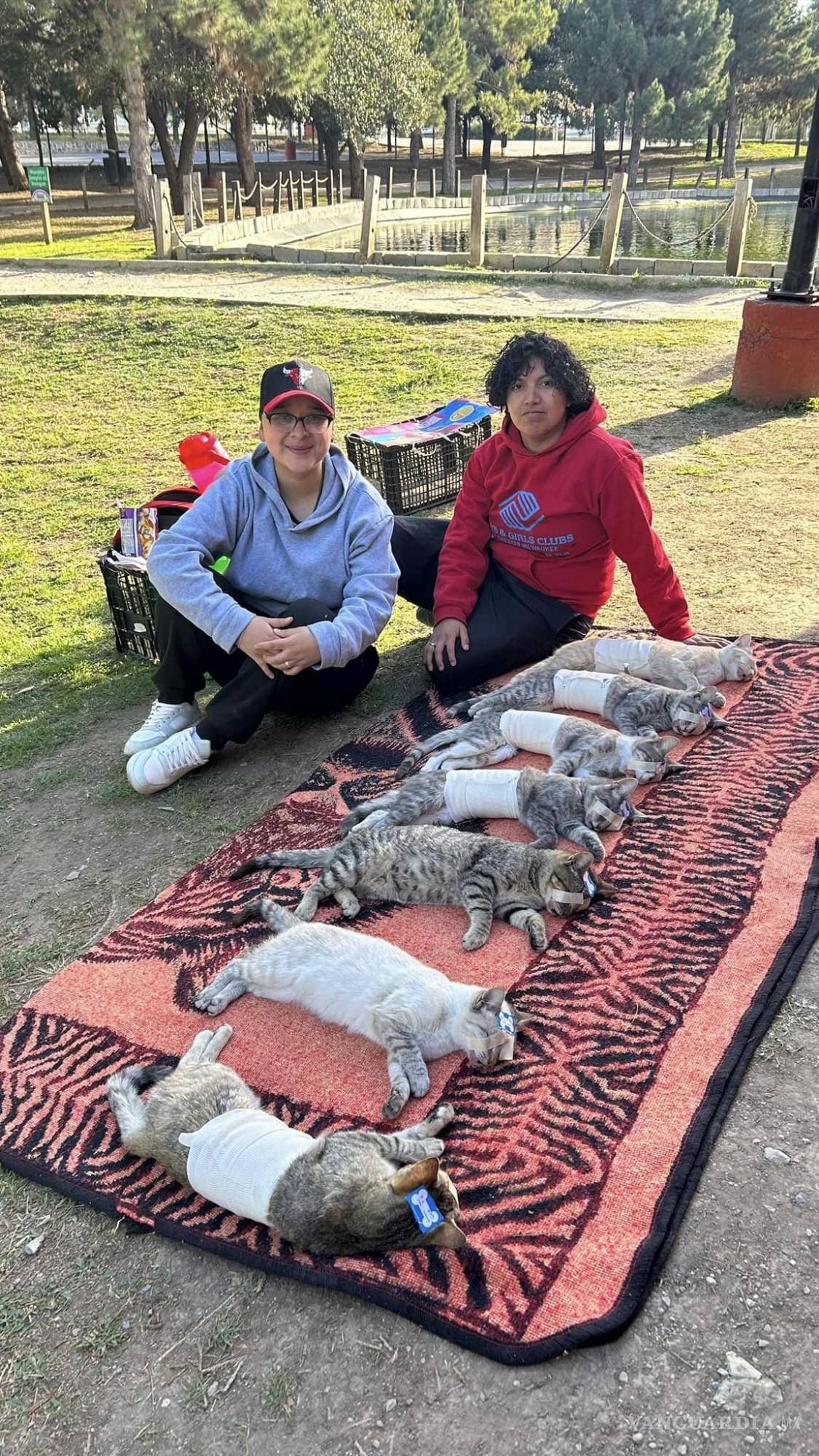 $!La asociación establece requisitos para asegurar el éxito y bienestar de las mascotas participantes.