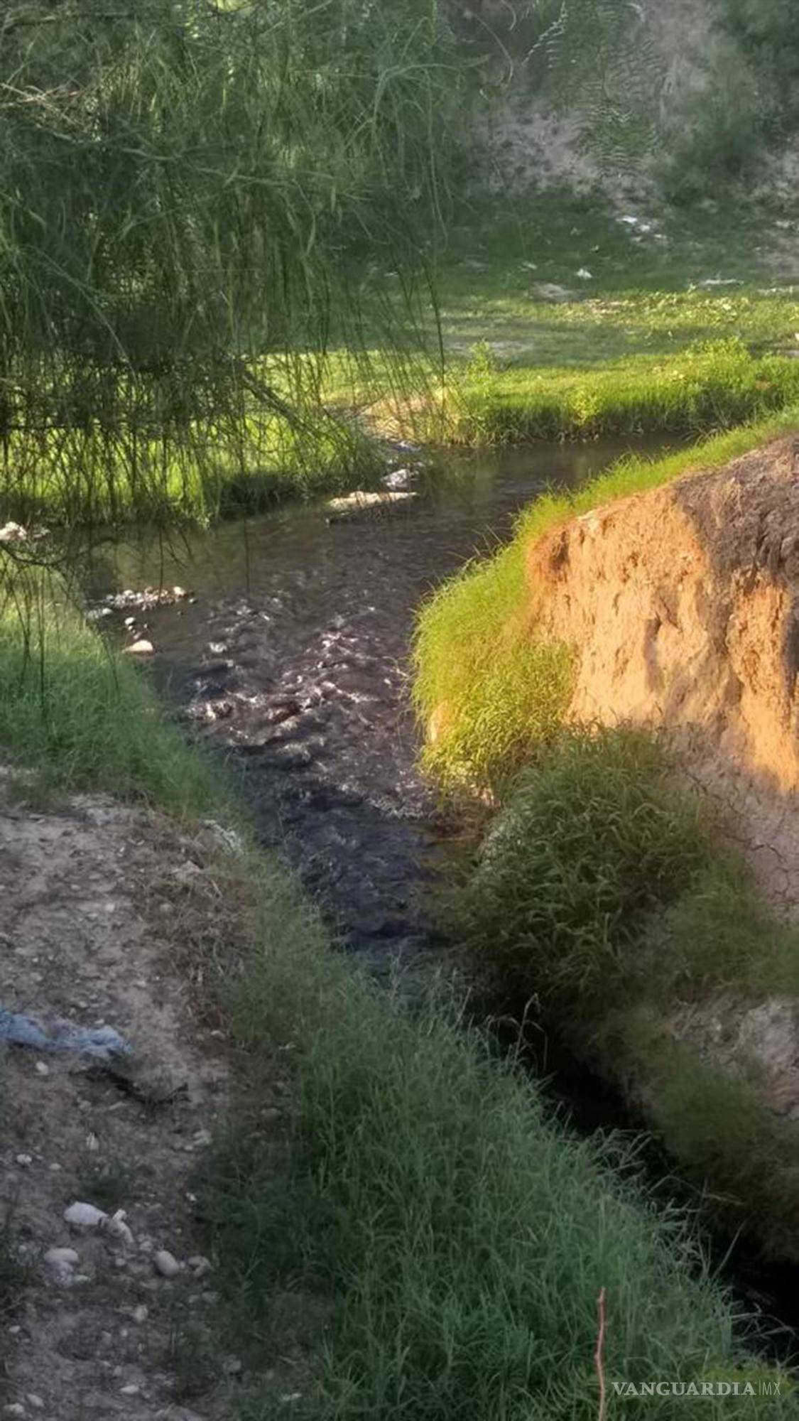 $!Descarga de aguas negras al arroyo Aguililla, que desemboca en el Río Sabinas.