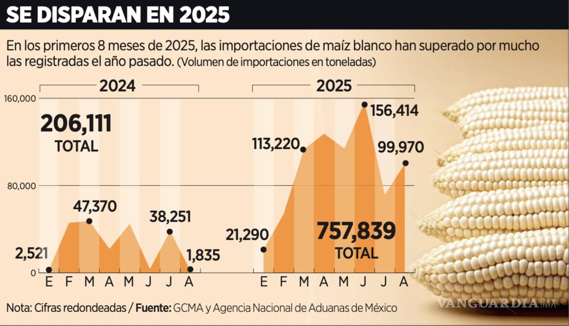 $!En valor, las importaciones de maíz blanco correspondientes a los primeros ocho meses del año ascendieron a 214 mdd, un incremento de 247.3% anual.