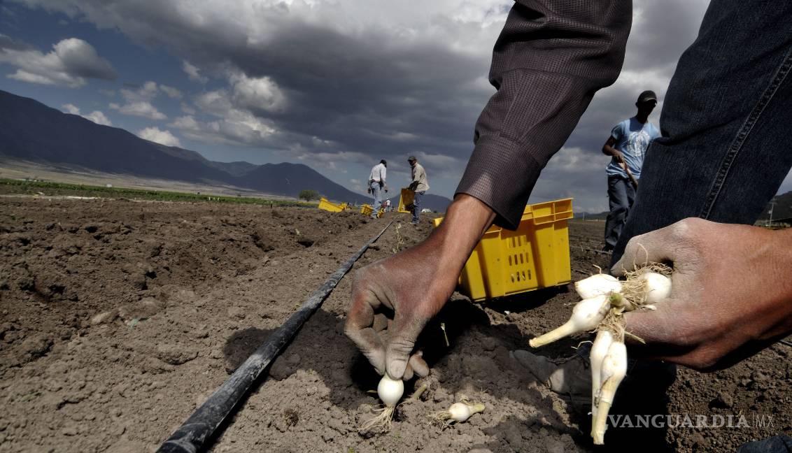 Ejercerá Seder 90 mdp en campo de Coahuila, a pesar de recorte presupuestal