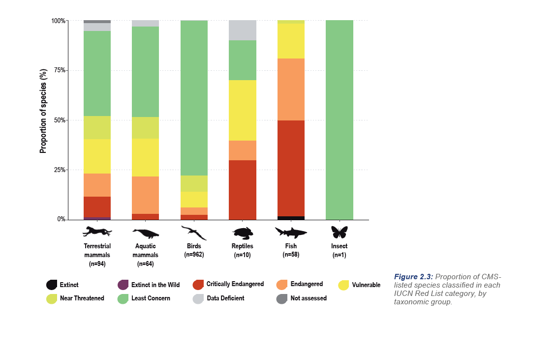 $!Gráfica que muestra el riego que enfrentan las especies migratorias.