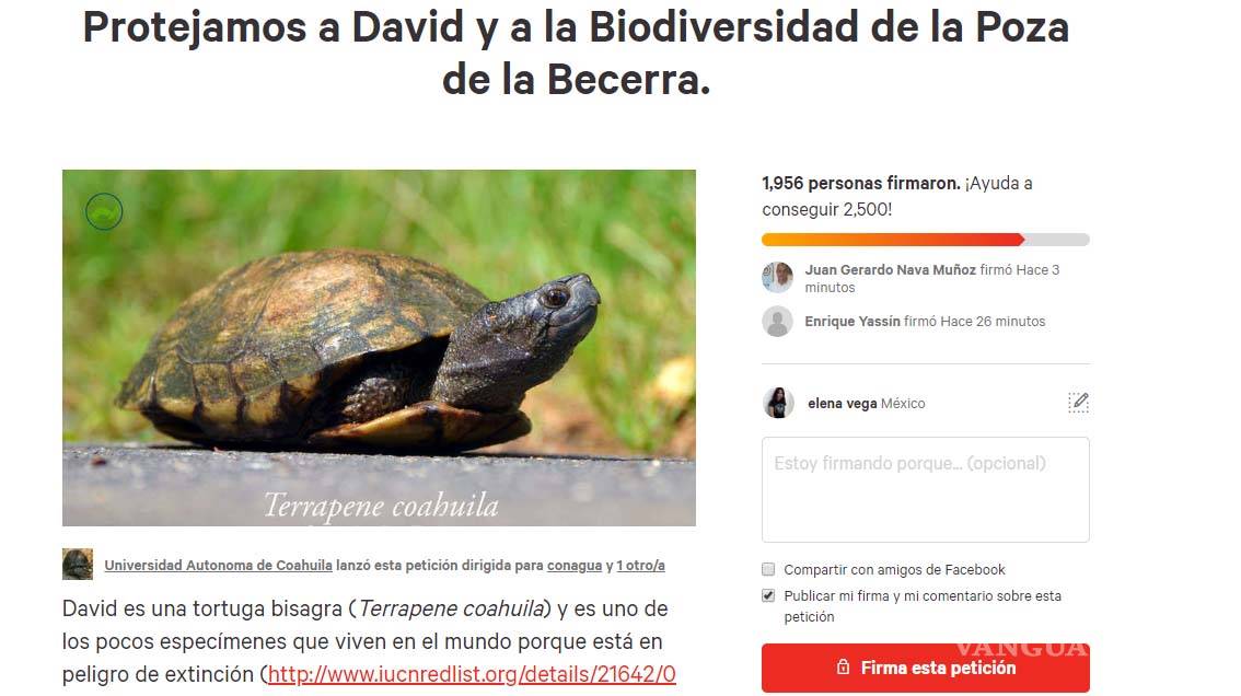 $!Exhorta UAdeC a rescatar la tortuga bisagra