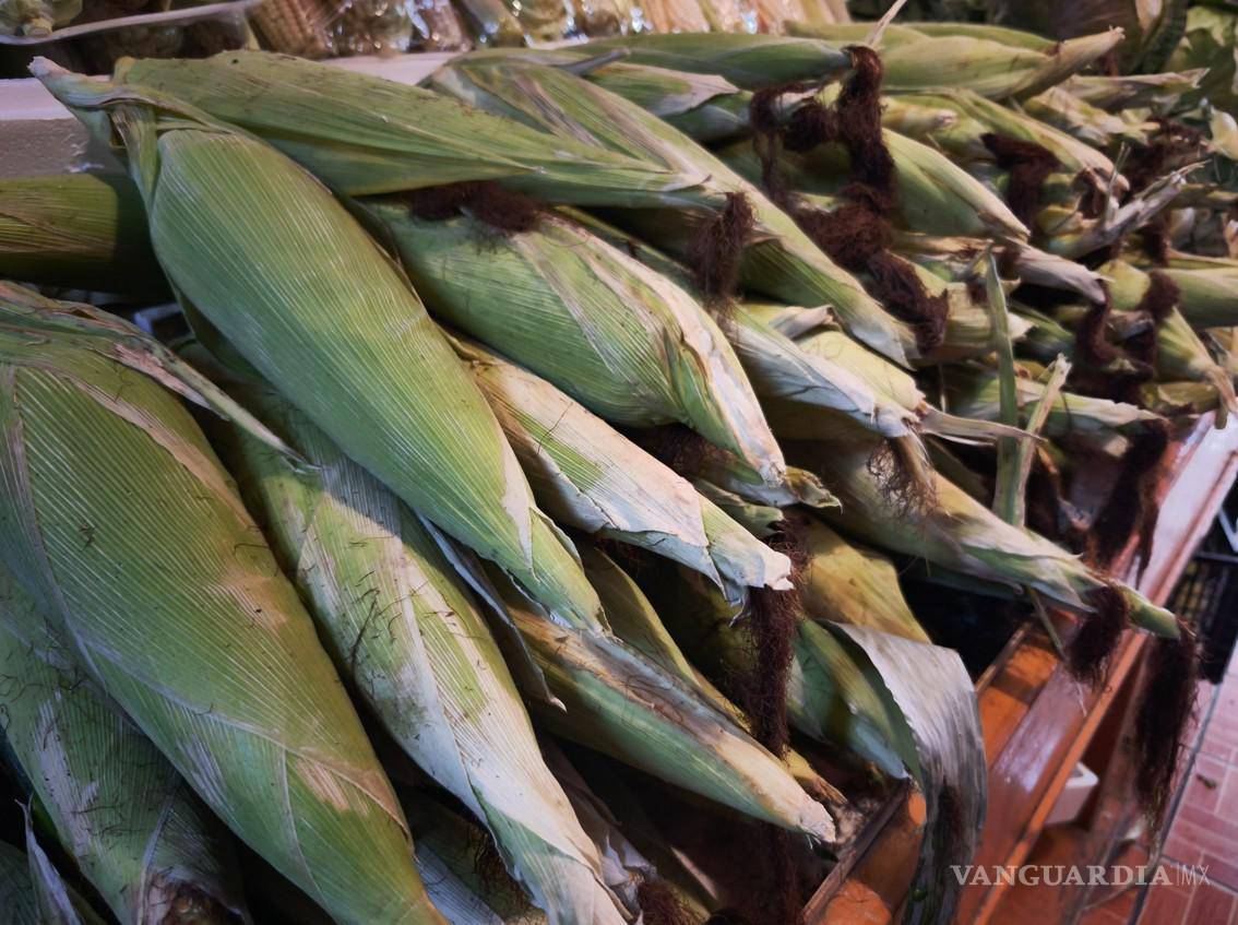 $!La SDR no ha recibido solicitudes de apoyo para siembra de maíz blanco durante los últimos dos años, lo que confirma su baja presencia en el estado.