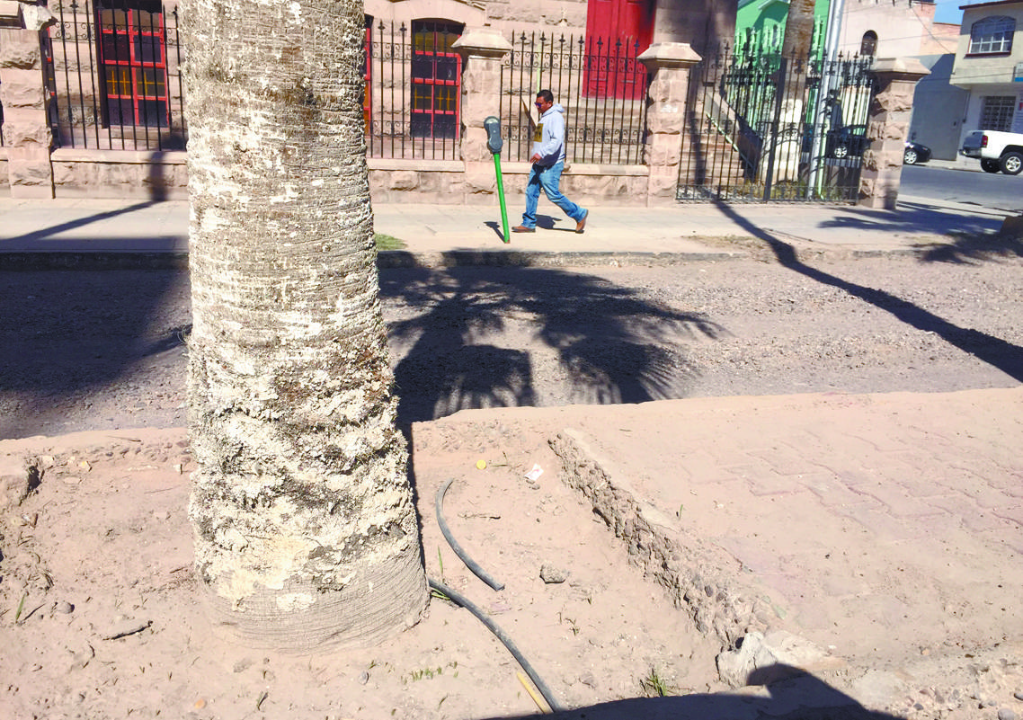 Zona de claroscuros la avenida Morelos de Torreón