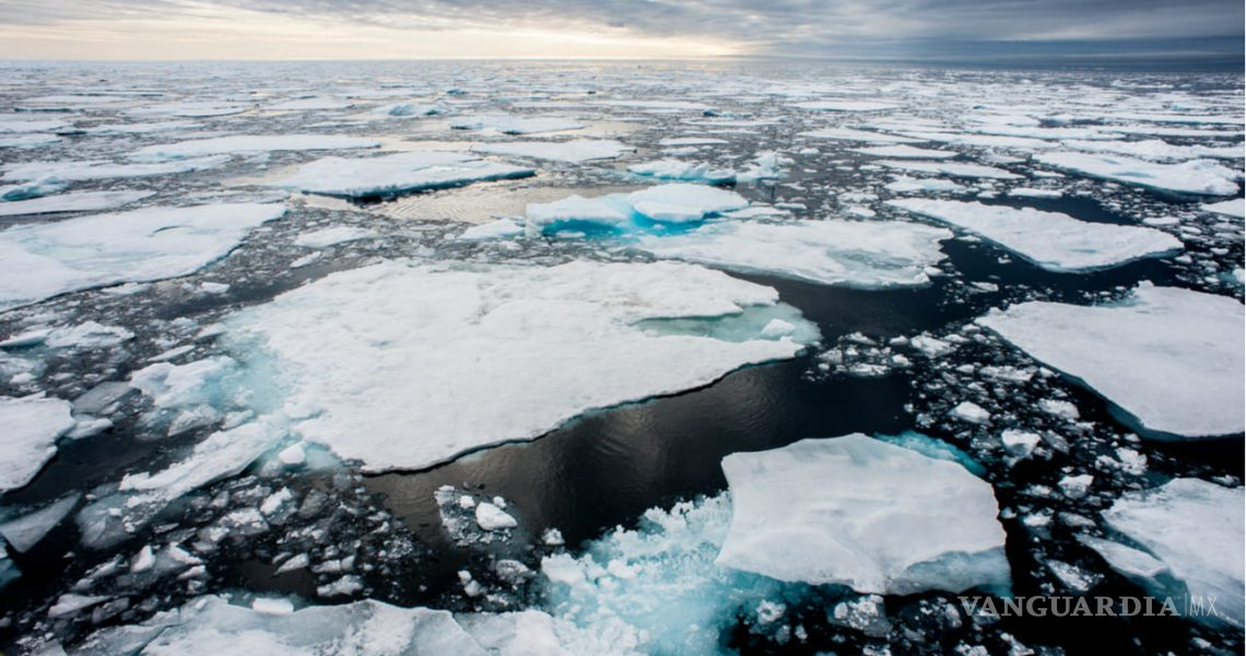 $!Los autores del estudio también advirtieron que los eventos de hielo marino bajo pueden volverse más frecuentes