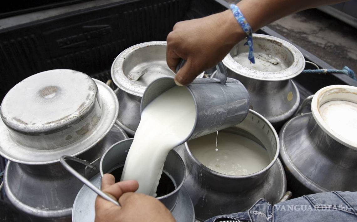 $!Además de calcio, la leche entera aporta magnesio, selenio, riboflavina, y las vitaminas B12 y B5.