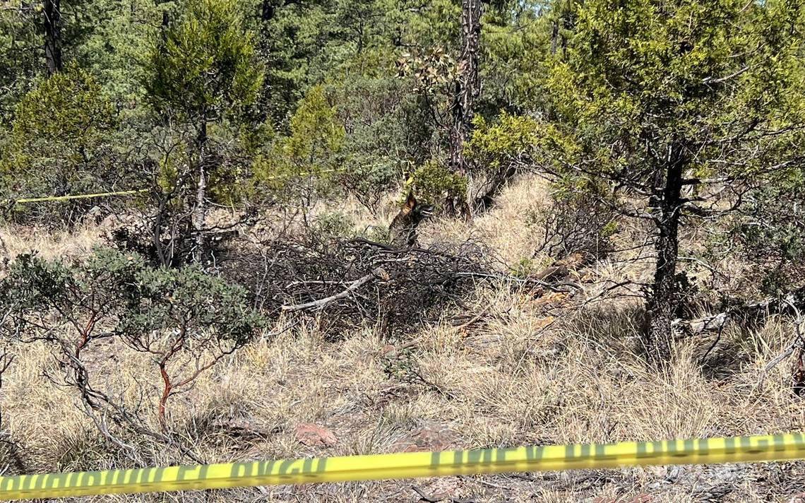 $!Este miércoles se encontró su cadáver en avanzado estado de descomposición en una brecha que conduce a la comunidad de Ceballida