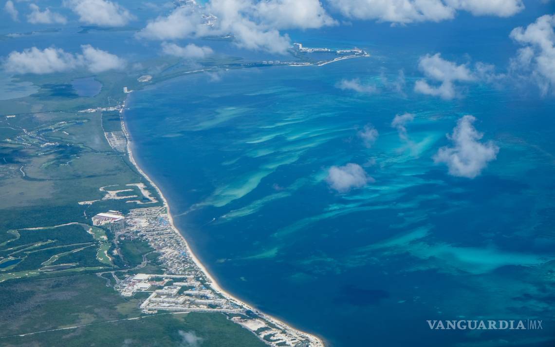 $!Tu jugo del día: Cae otro más por la "Estafa Maestra"