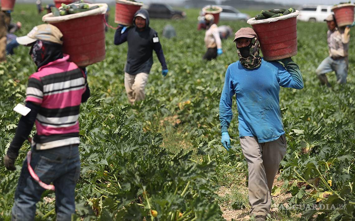 $!“La inmigración es muy importante para nuestra fuerza de trabajo en Estados Unidos”, reconoció Correa. “Simplemente la necesitamos”.