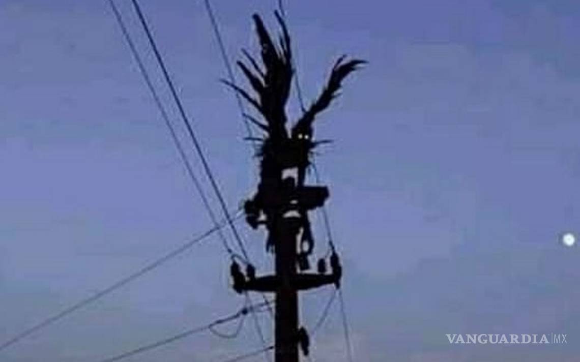 $!¿Qué es el hombre pájaro?... la criatura que presagia catástrofes y ha sido vista en Coahuila, Nuevo León y Tamaulipas