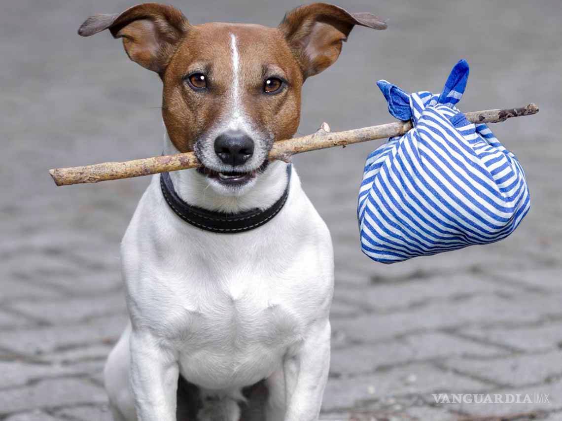 $!¿Qué hacer este fin de semana junto a tus hijos, en Saltillo? ¡Te damos una lista de opciones!