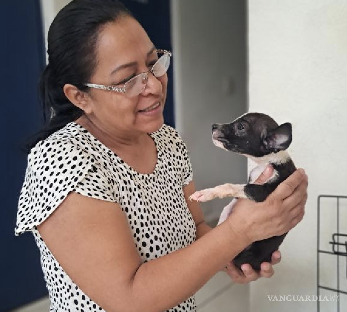 $!La asociación llamó a transformar la indignación ciudadana en acciones permanentes como la adopción, la denuncia y la esterilización de mascotas.