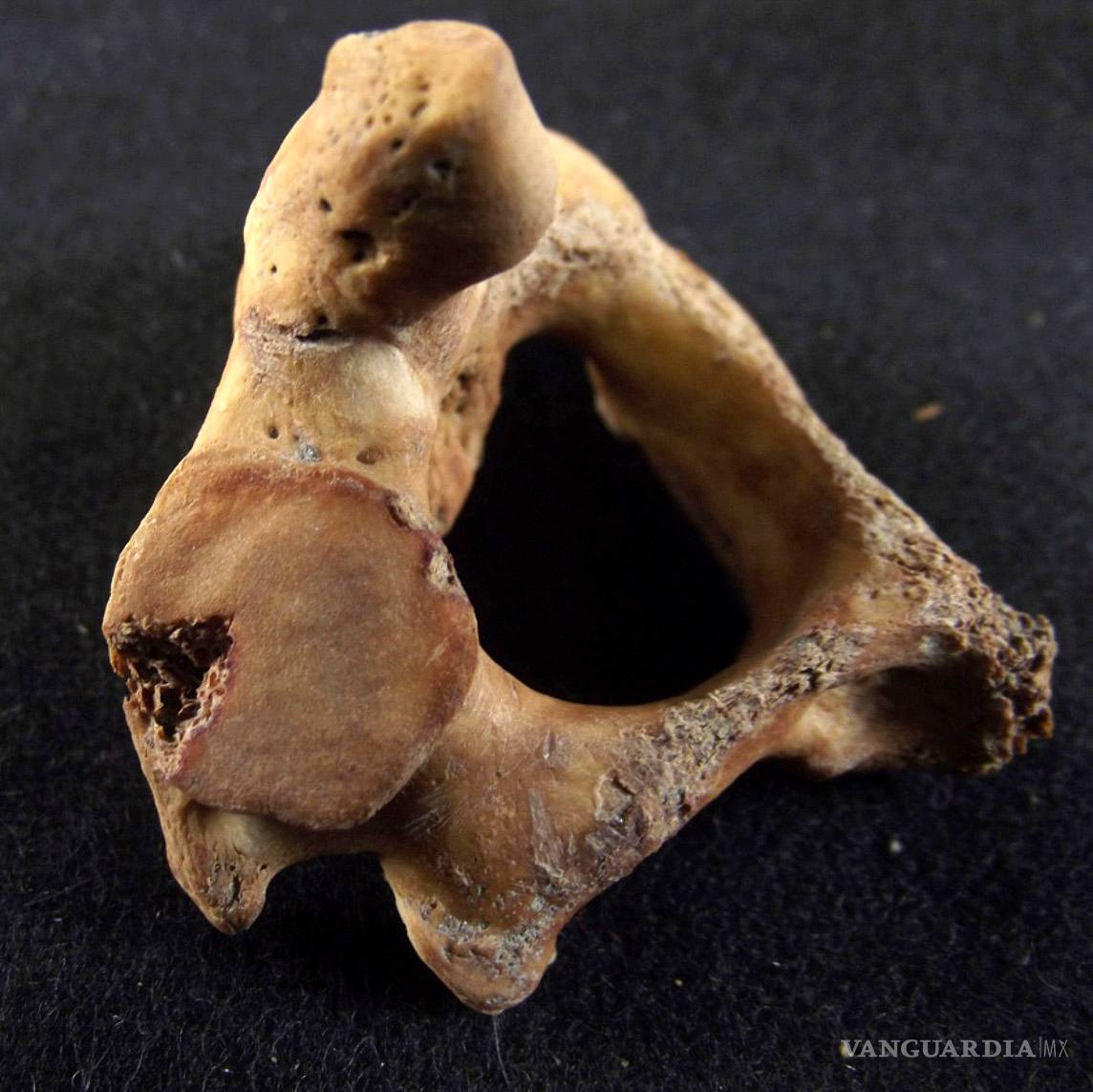 $!Encuentran restos de principal cancha de juego de pelota de Tenochtitlan